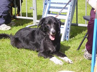bouba