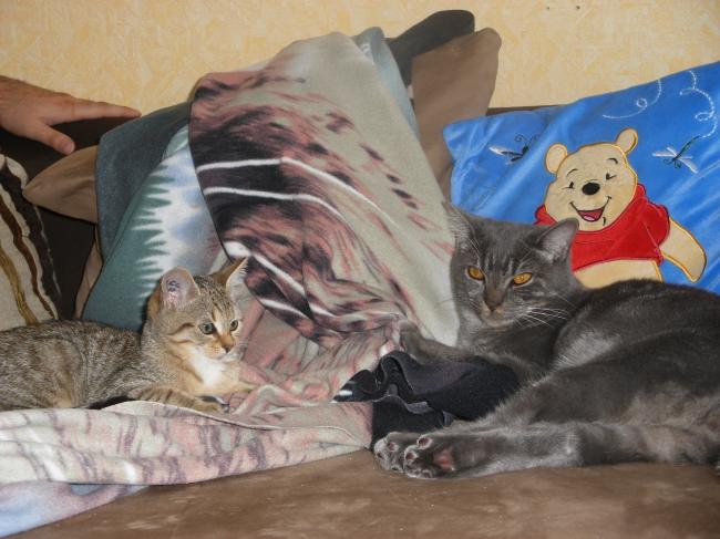 canelle et tom