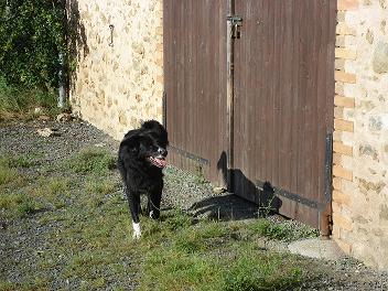 bouba